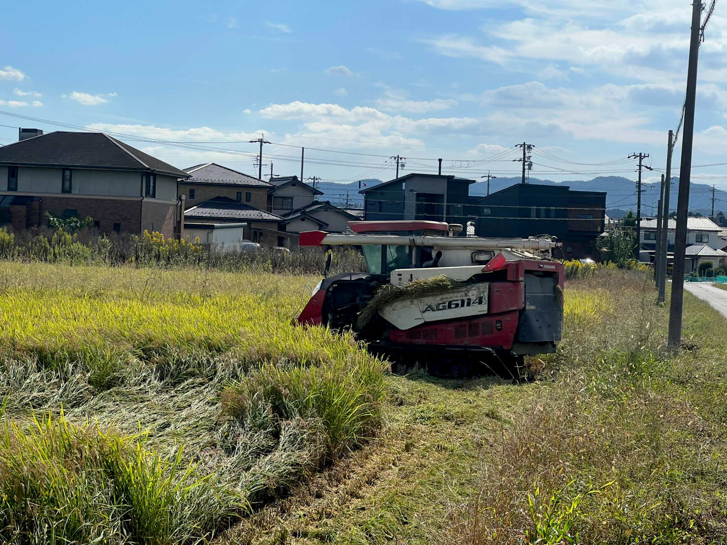 コンバインでの収穫